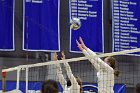 Women’s VB intersquad  Women’s Volleyball inter-squad match. : Women’s Volleyball, VB, inter squad, intersquad